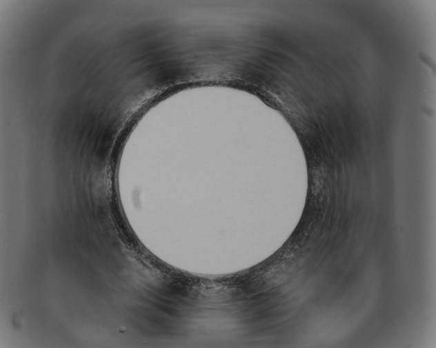 X0000091240632200709061541