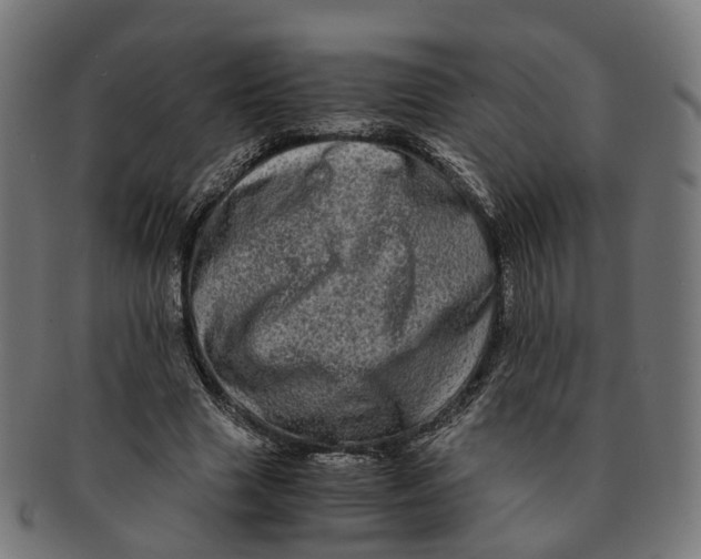 X0000091240633200709061541