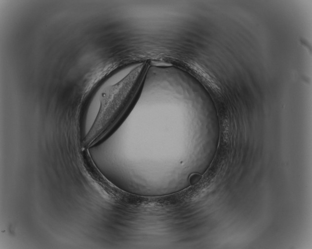 X0000091240634200709061541