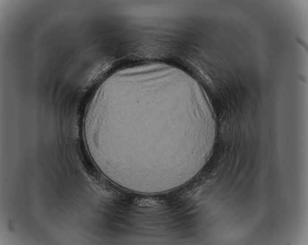 X0000091240635200709061541