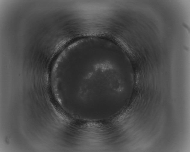X0000091240636200709061541