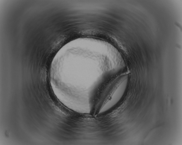 X0000091240637200709061541