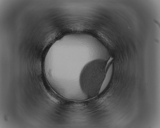 X0000091240638200709061541
