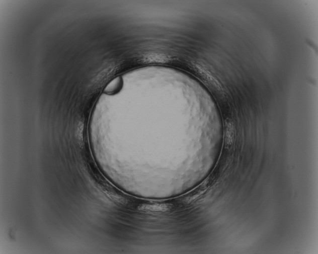 X0000091240639200709061541