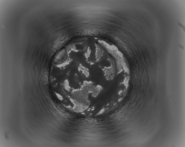 X0000091240640200709061541