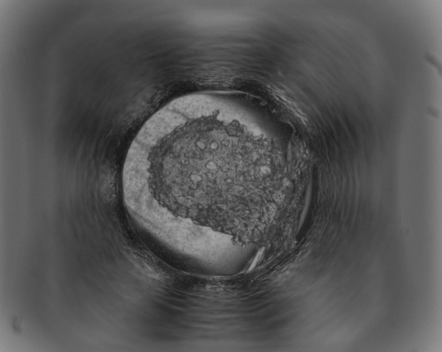 X0000091240641200709061541