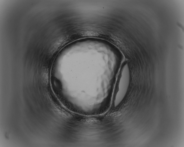 X0000091240642200709061541