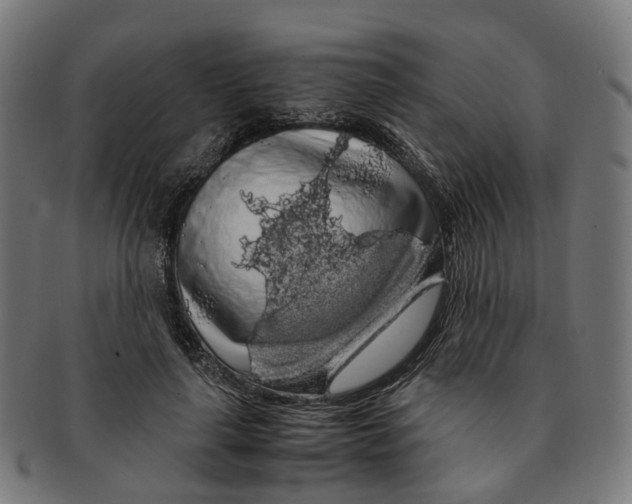 X0000091240643200709061541