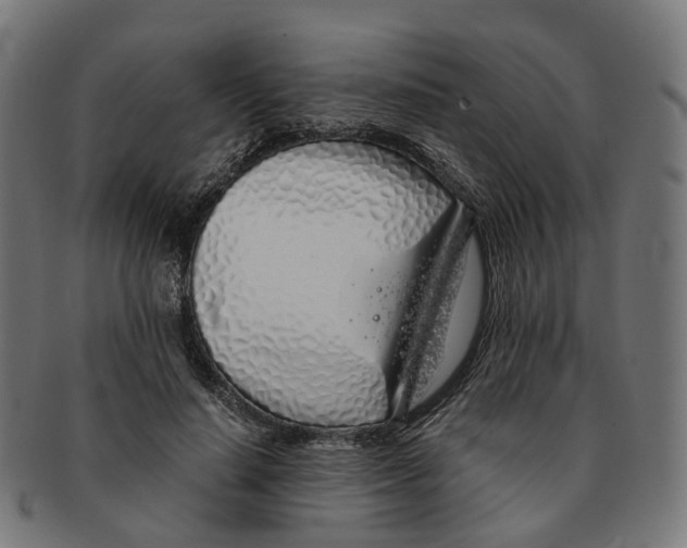 X0000091240644200709061541