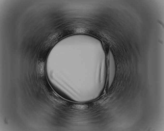 X0000091240646200709061541