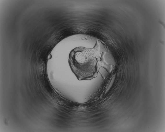 X0000091240647200709061541