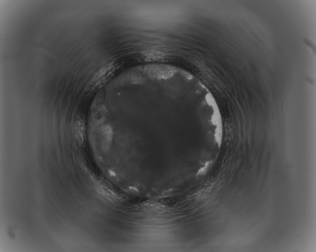 X0000091240648200709061541