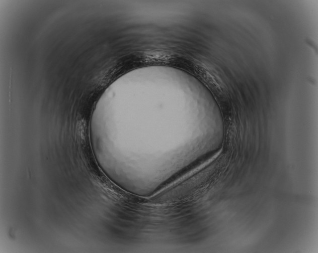 X0000091240649200709061541