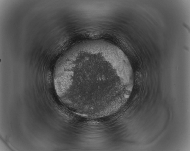 X0000091240650200709061541