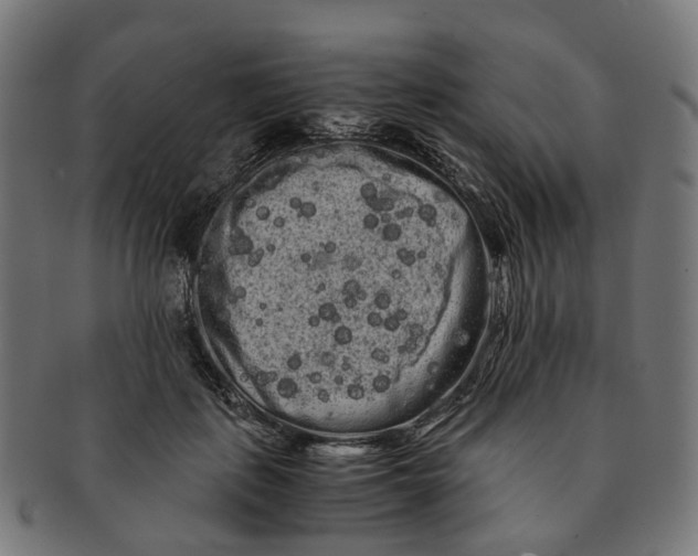 X0000091240651200709061541