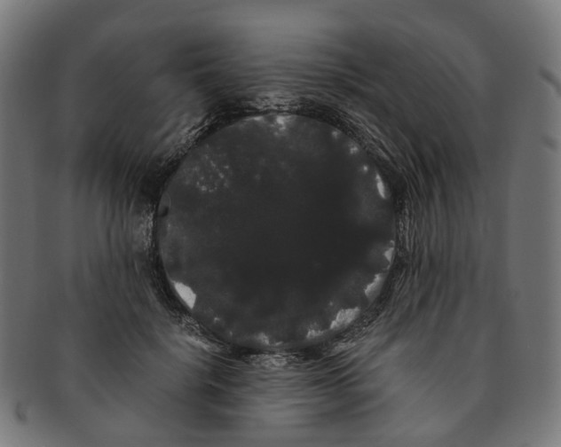 X0000091240652200709061541