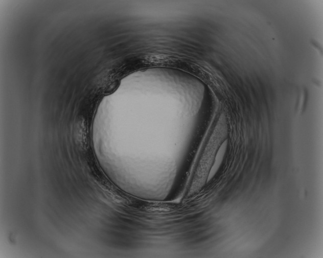 X0000091240653200709061541