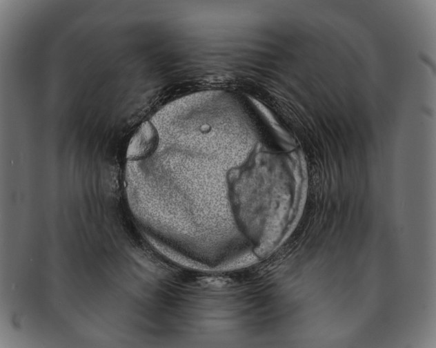 X0000091240654200709061541