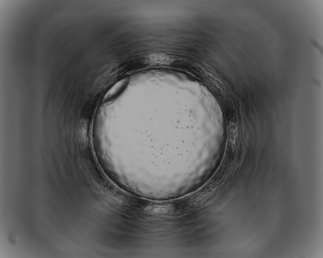 X0000091240655200709061541