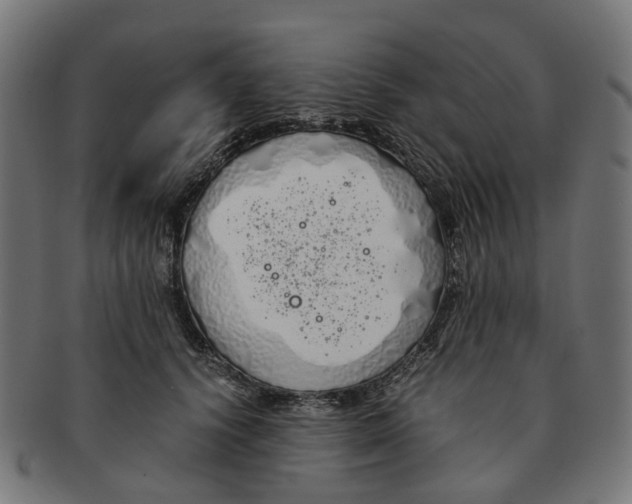 X0000091240656200709061541