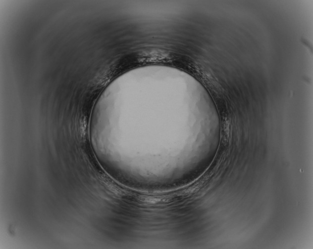 X0000091240657200709061541