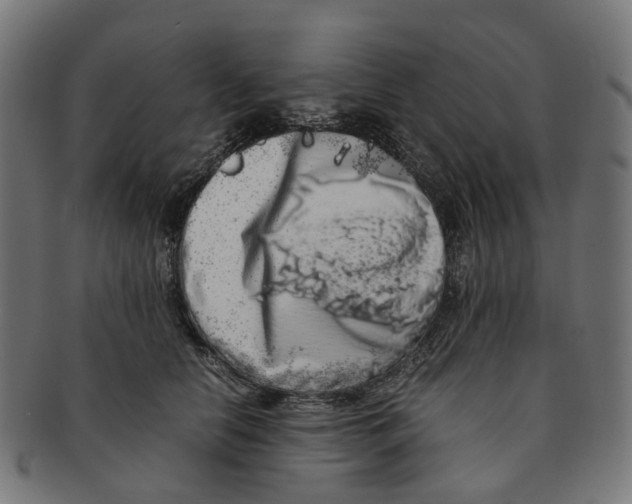 X0000091240658200709061541