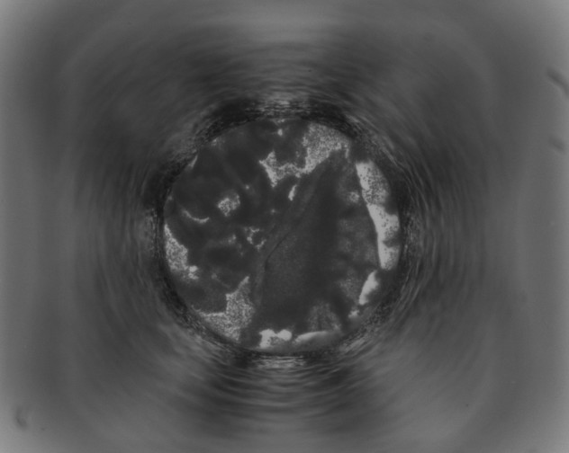 X0000091240659200709061541