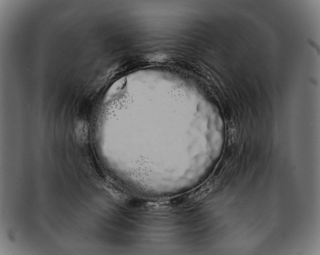 X0000091240660200709061541