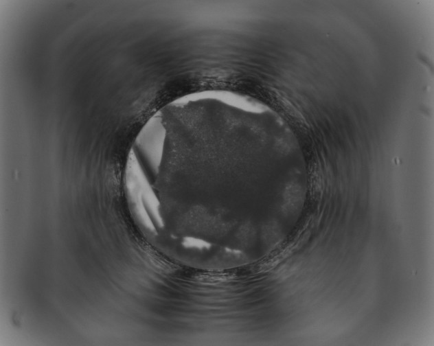 X0000091240661200709061541