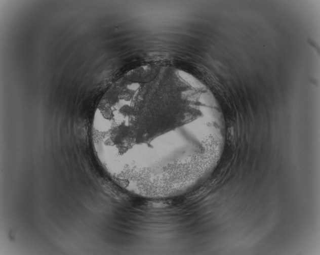 X0000091240662200709061541