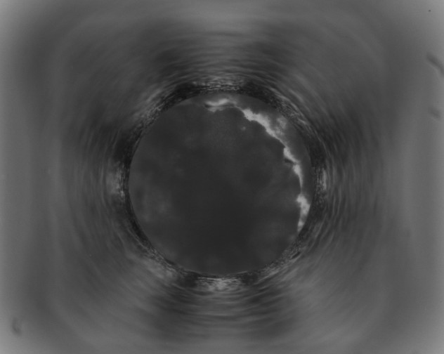 X0000091240663200709061541