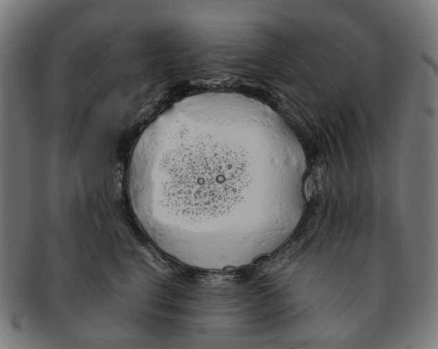 X0000091240664200709061541