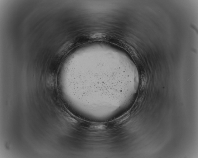 X0000091240665200709061541