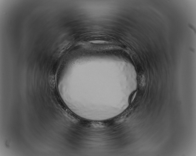 X0000091240666200709061541