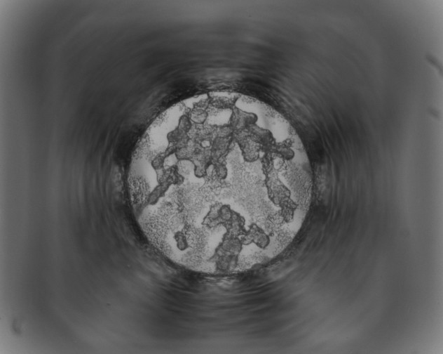 X0000091240667200709061541