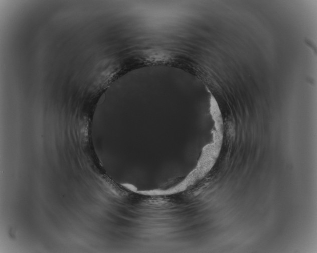 X0000091240668200709061541