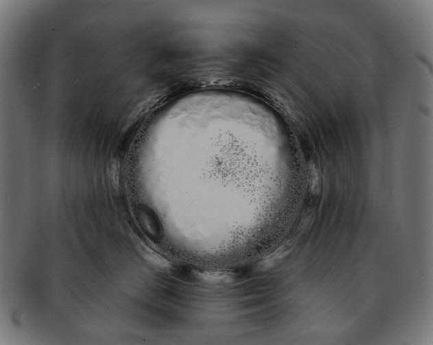 X0000091240670200709061541