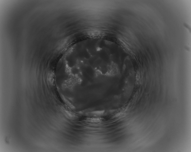 X0000091240671200709061541