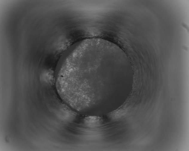 X0000091240672200709061541