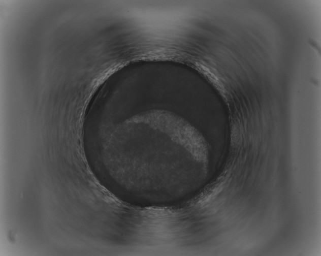 X0000091240673200709061541