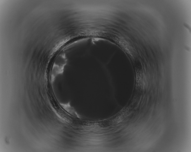 X0000091240674200709061541