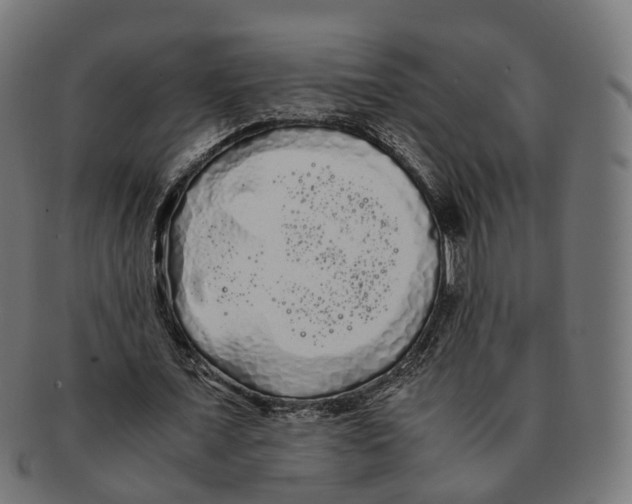 X0000091240675200709061541