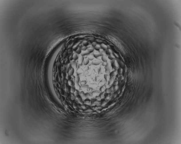 X0000091240676200709061540