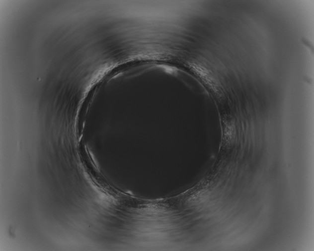 X0000091240678200709061540