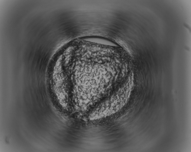 X0000091240680200709061540