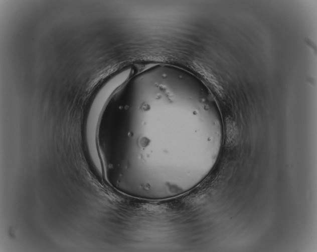 X0000091240681200709061540