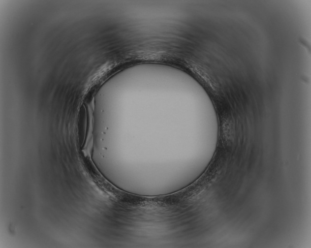 X0000091240682200709061540