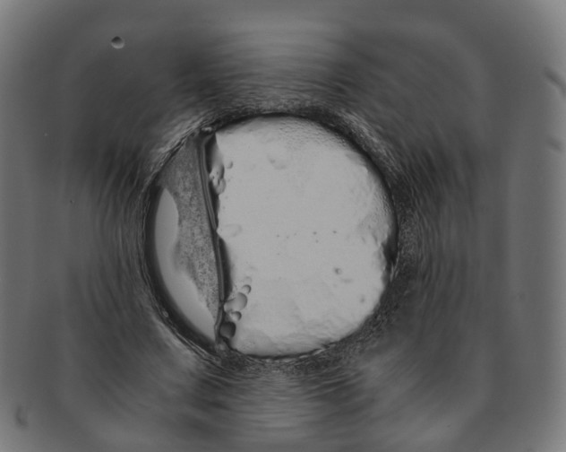 X0000091240683200709061540