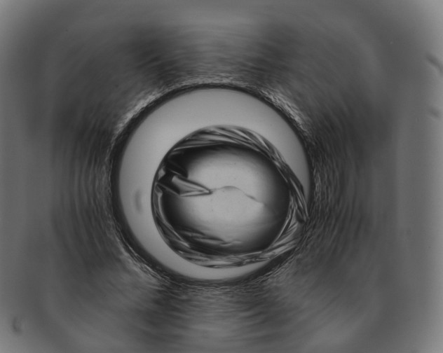 X0000091240684200709061540