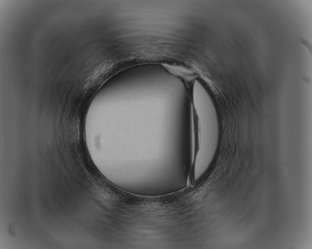 X0000091240685200709061540